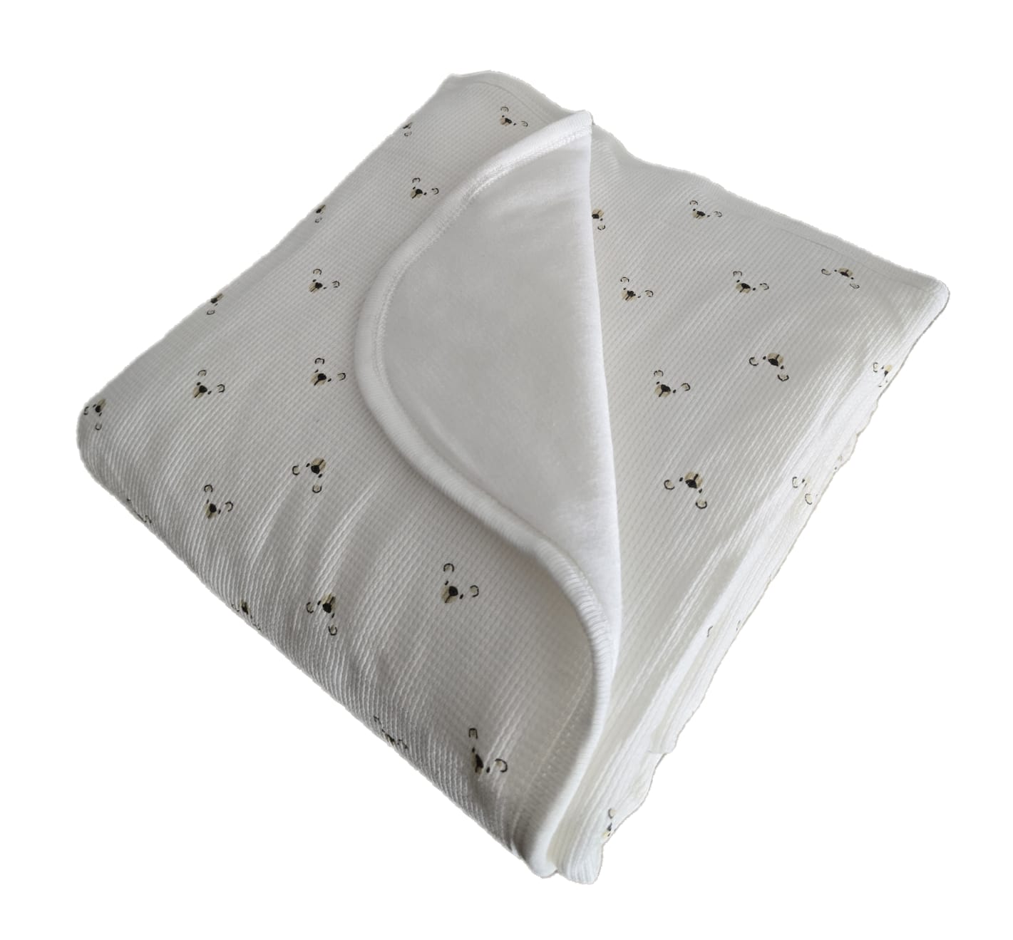 WhatsApp Image 2025-06-22 at 22.26.43